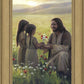 Sacred Gift