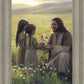 Sacred Gift