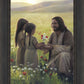 Sacred Gift