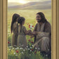 Sacred Gift