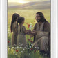 Sacred Gift