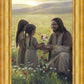 Sacred Gift