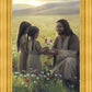 Sacred Gift