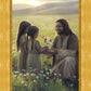 Sacred Gift