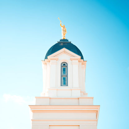 Countenance of Light