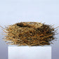 Nest