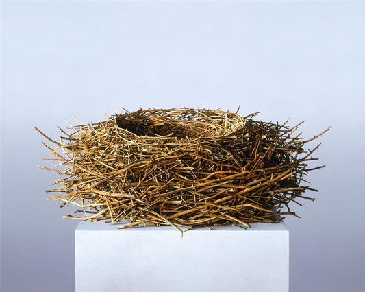 Nest Gallery Wrap