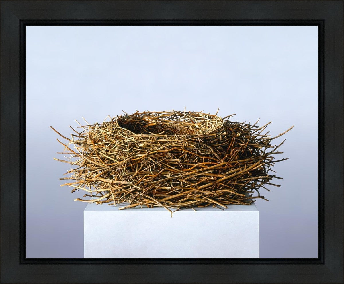 Nest Gallery Wrap
