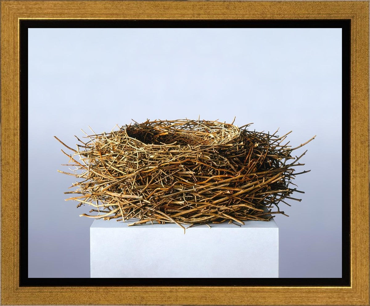 Nest Gallery Wrap