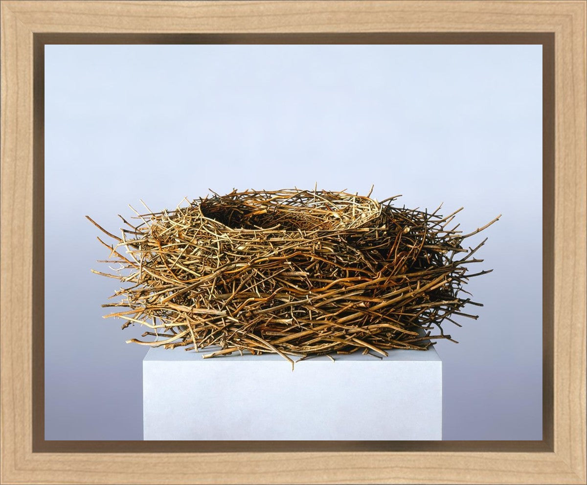 Nest Gallery Wrap