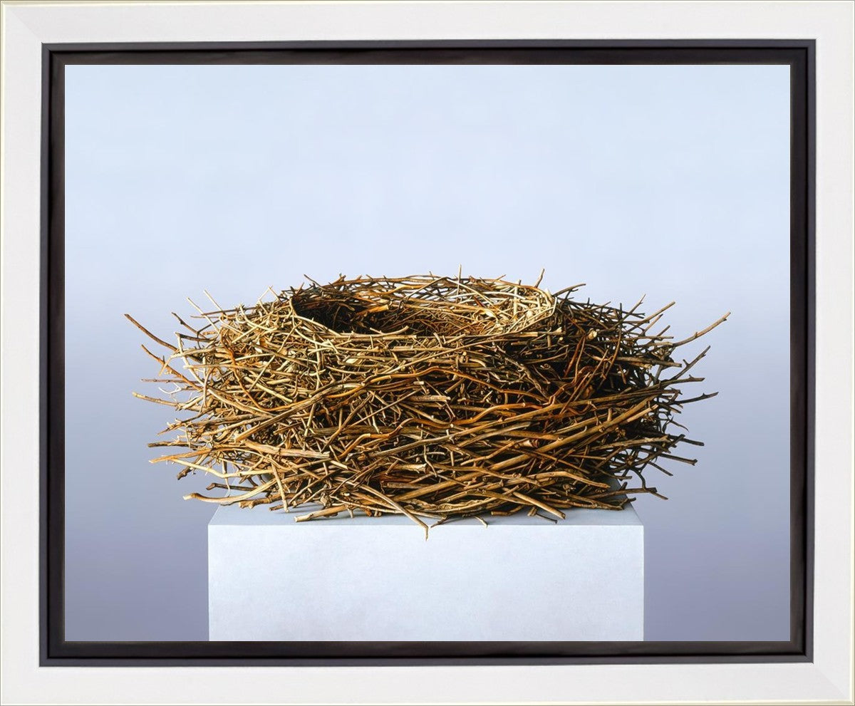 Nest Gallery Wrap