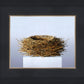 Nest