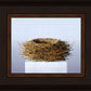 Nest