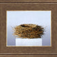 Nest