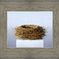 Nest