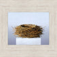 Nest