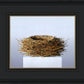 Nest