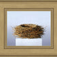 Nest