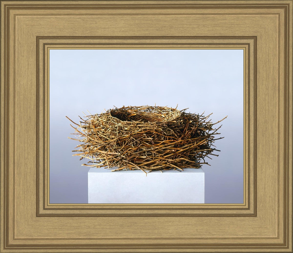 Nest