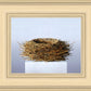 Nest
