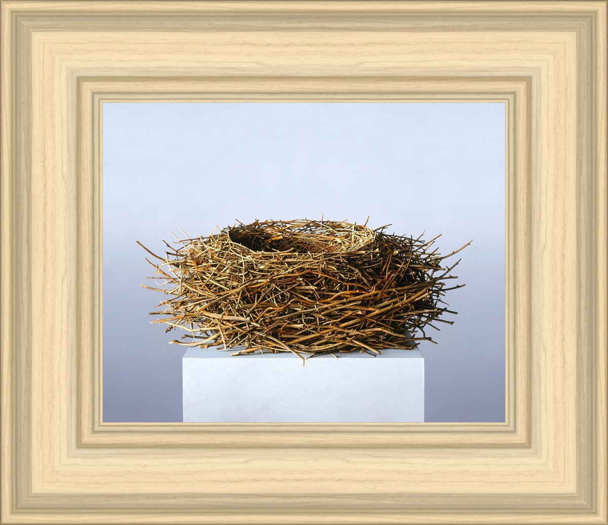 Nest