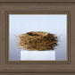 Nest