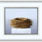 Nest