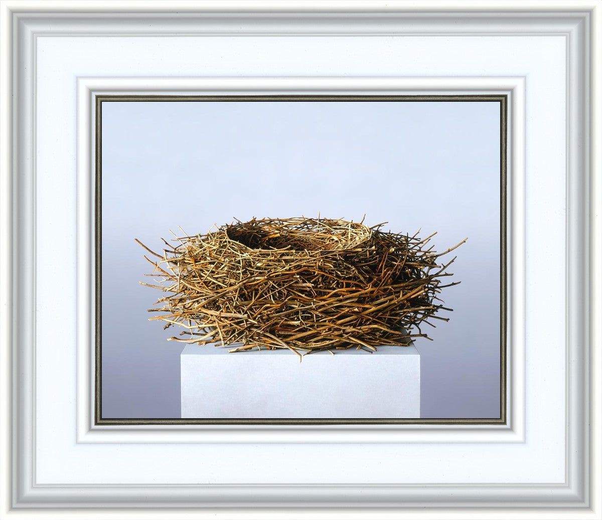Nest
