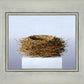 Nest