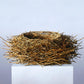 Nest
