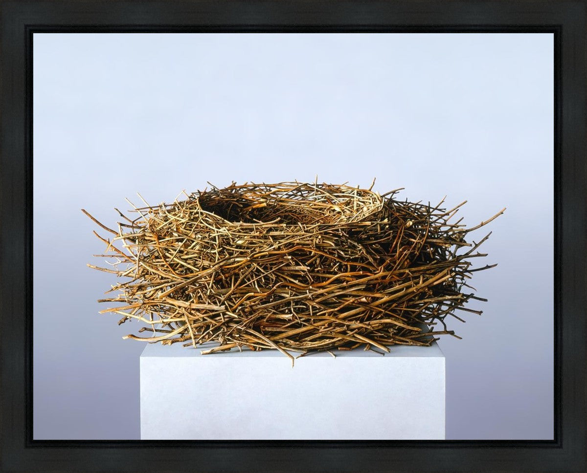 Nest Gallery Wrap