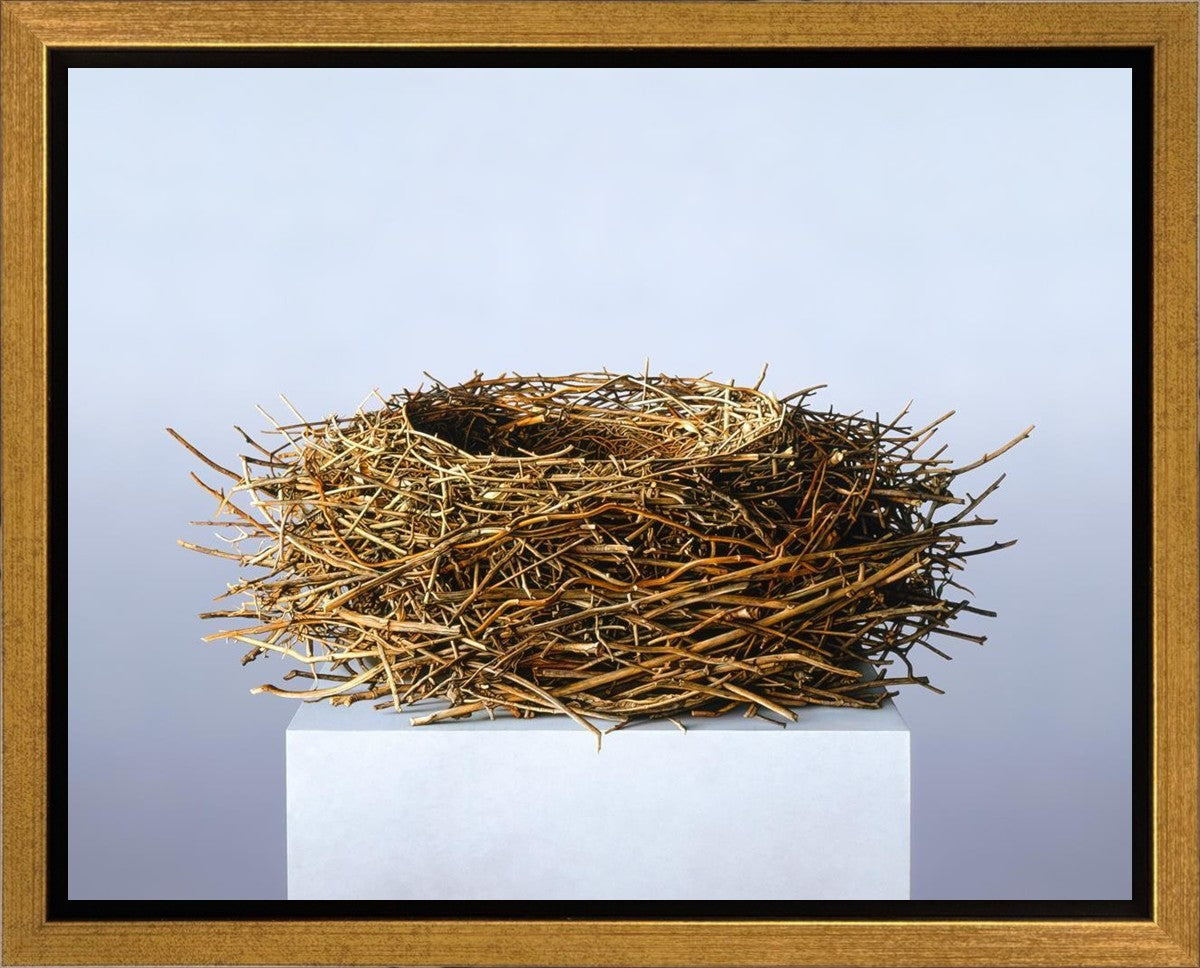 Nest Gallery Wrap