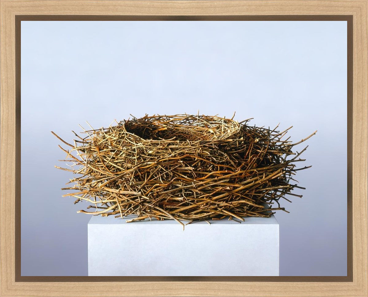 Nest Gallery Wrap