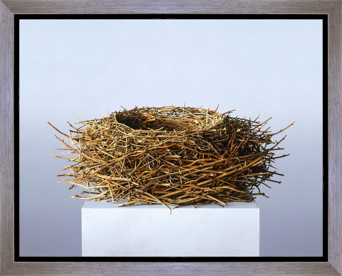 Nest Gallery Wrap