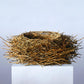 Nest