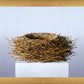 Nest
