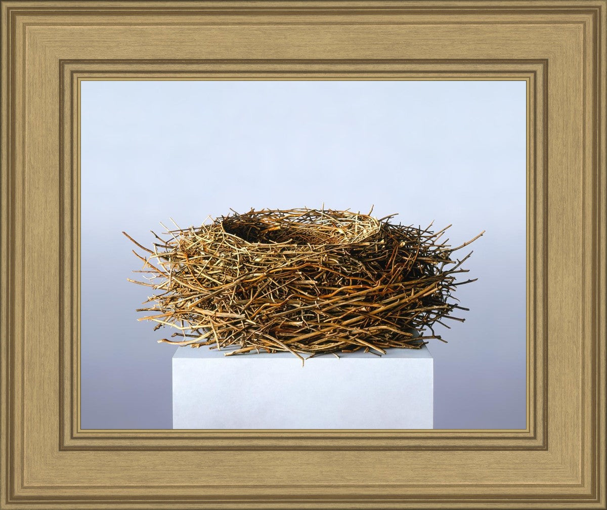 Nest