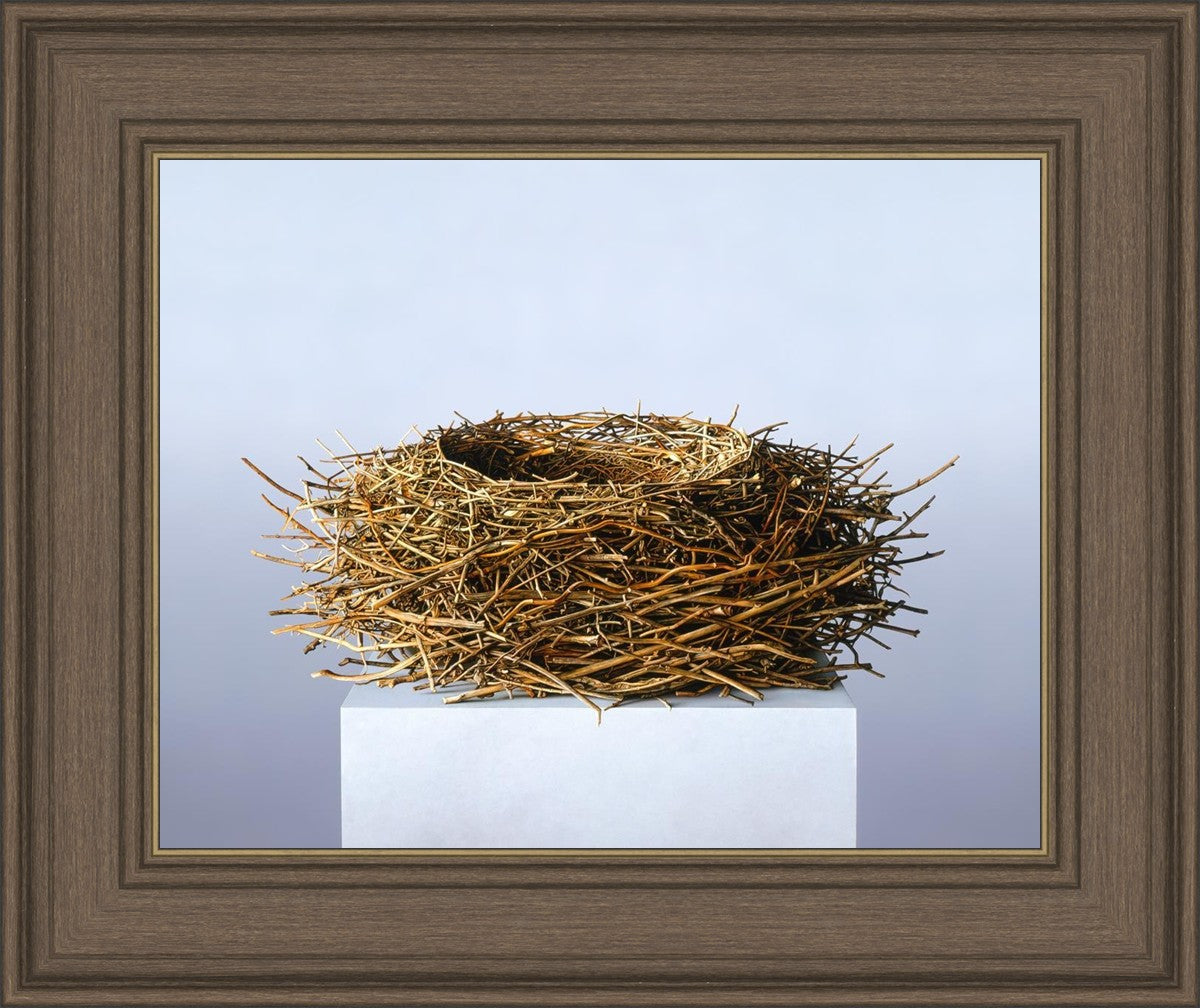 Nest