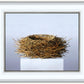 Nest