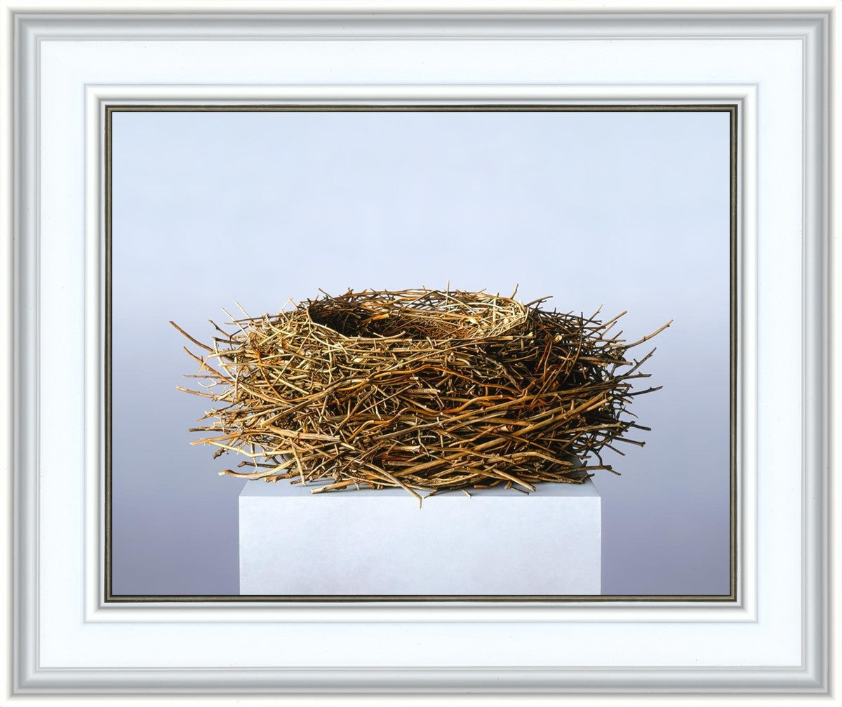Nest