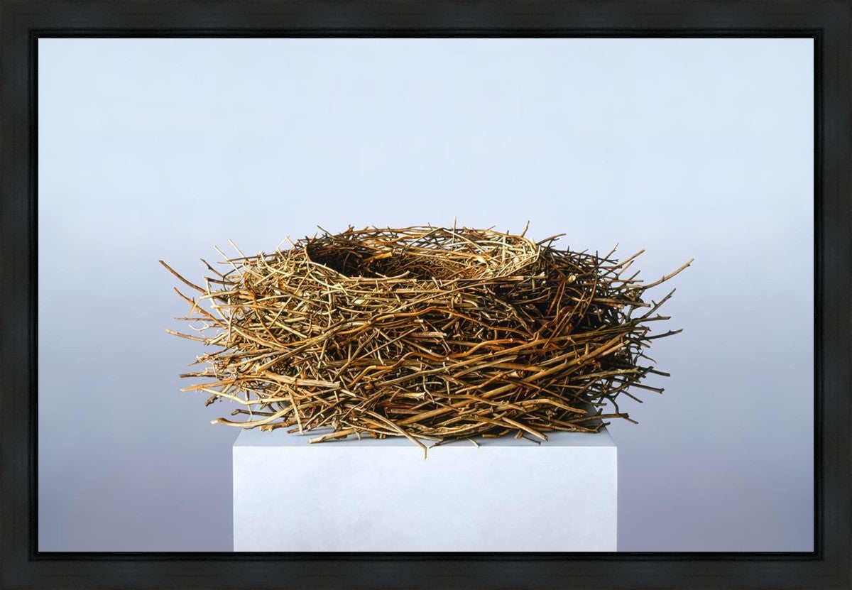 Nest Gallery Wrap