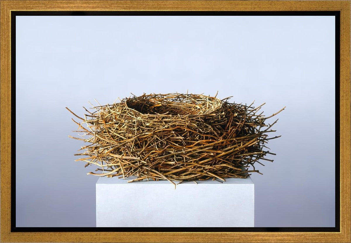 Nest Gallery Wrap