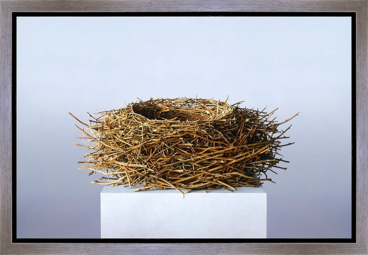 Nest Gallery Wrap