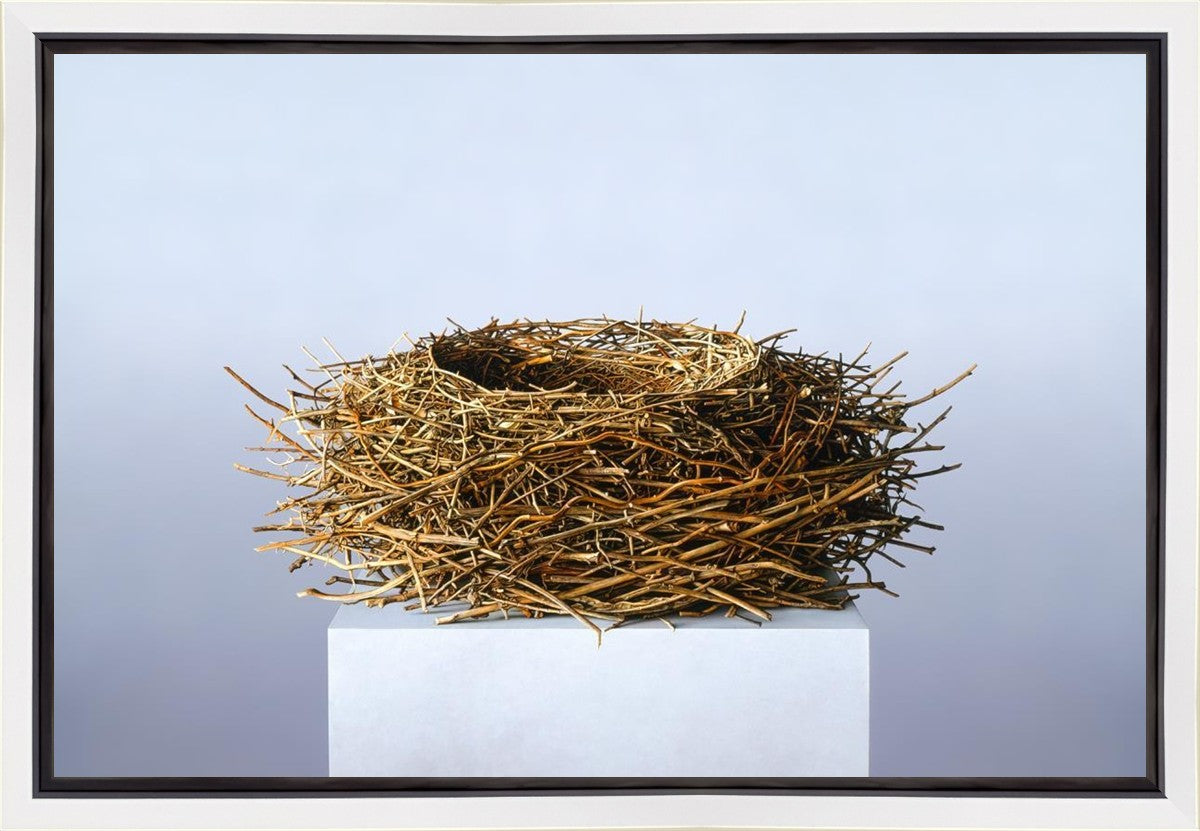 Nest Gallery Wrap
