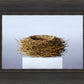 Nest
