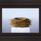 Nest