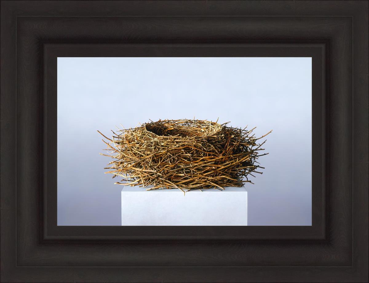Nest