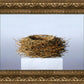 Nest