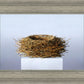 Nest