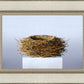 Nest